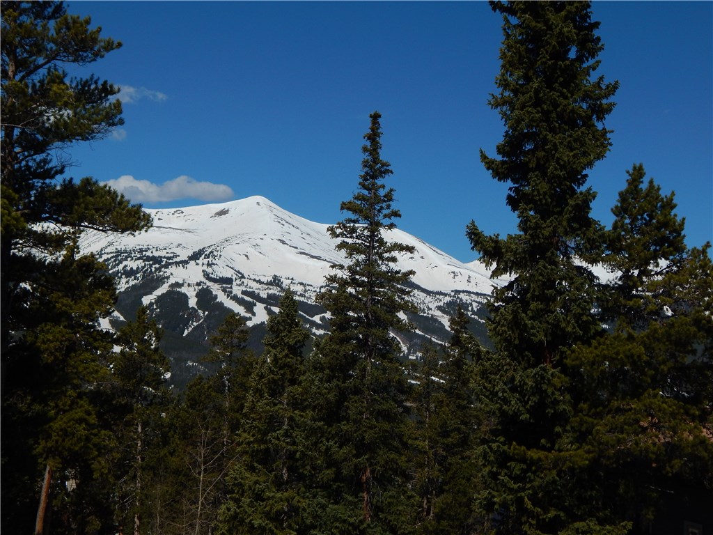 57 Fuller Placer Road, Unit 1B Breckenridge, CO 80424 - Photo 4 of 19 a view of a snow in a yard