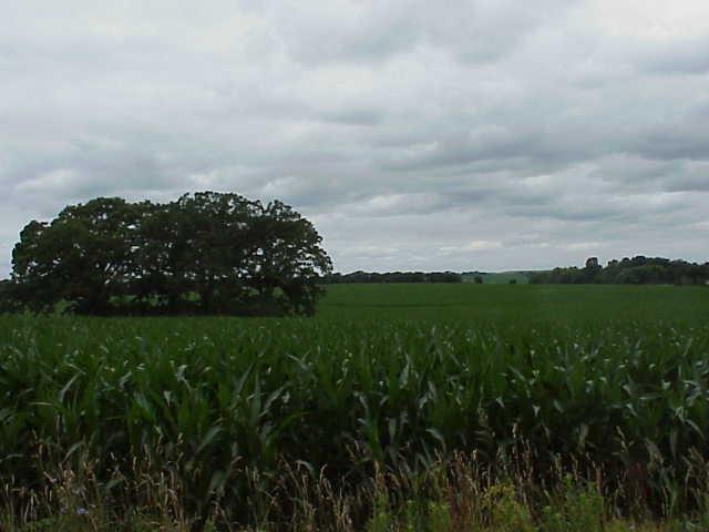 Lot 2 - 46 Acres