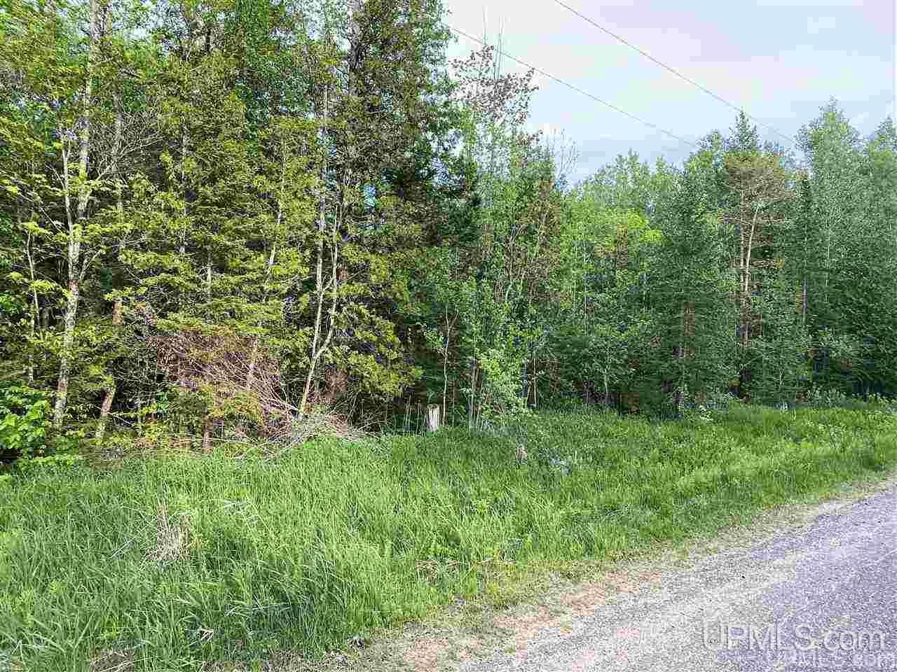 Tbd Dalton Road Skandia, MI 49885 - Photo 9 of 14
