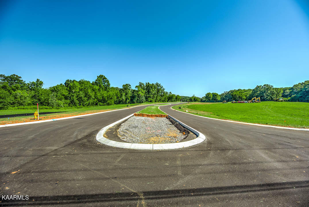 Lot 72 Morganton Road Greenback, TN 37742 - Photo 5 of 7 FrnklnMnr (1)