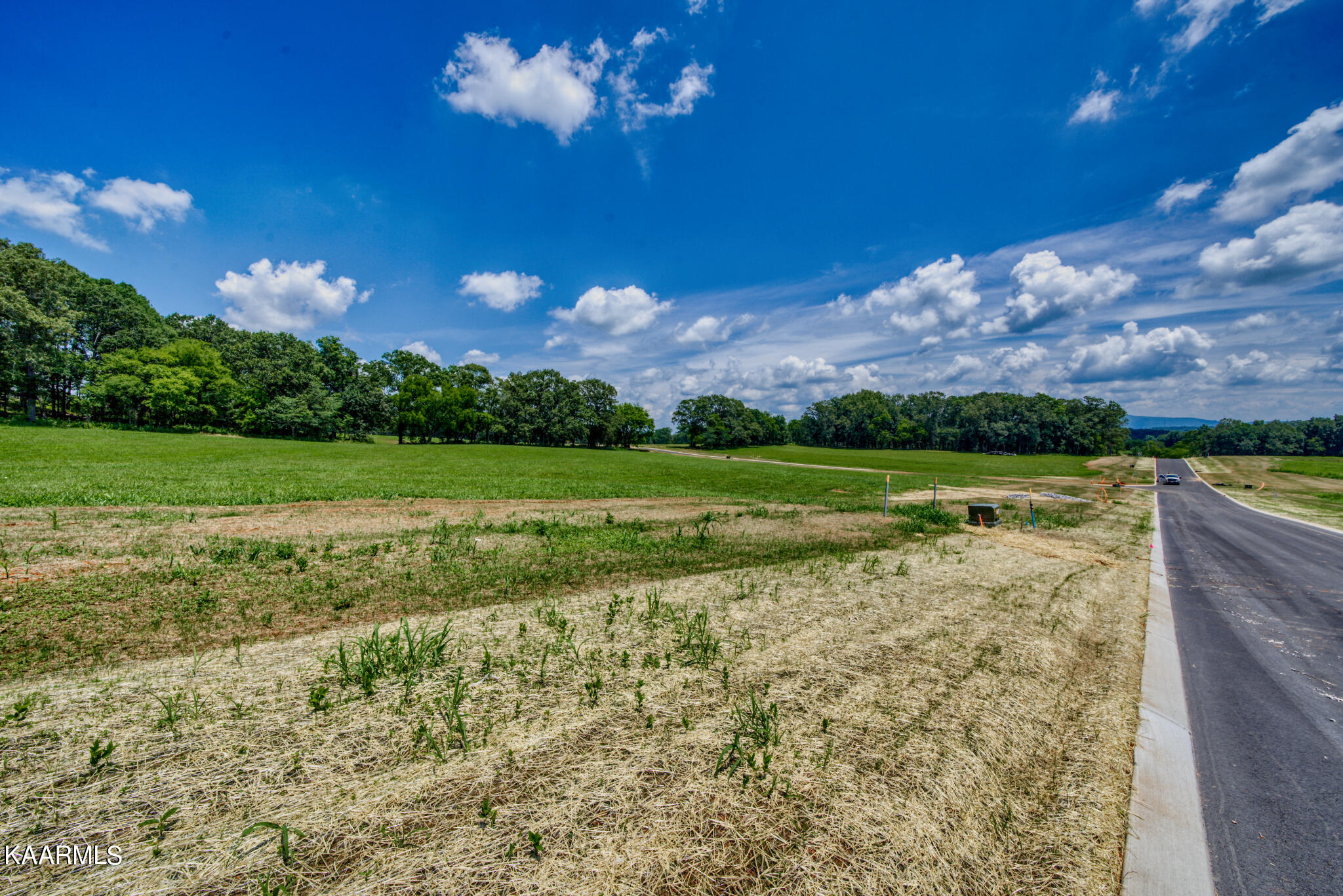 Lot 72 Morganton Road Greenback, TN 37742 - Photo 7 of 7 DSC09972_HDR