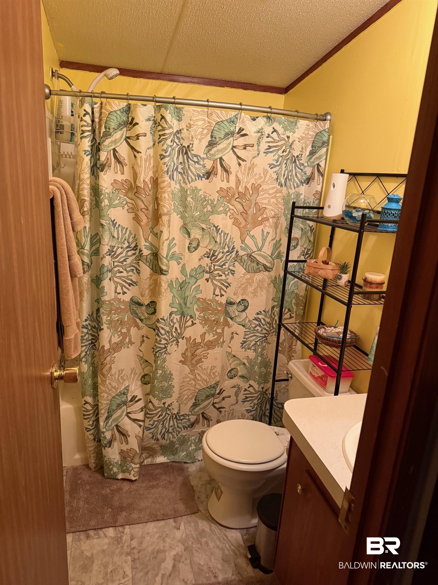 15844 County Road 87 Elberta, AL 36530 - Photo 23 of 28 Full bathroom with toilet, crown molding, shower / tub combo with curtain, vanity, and a textured ceiling
