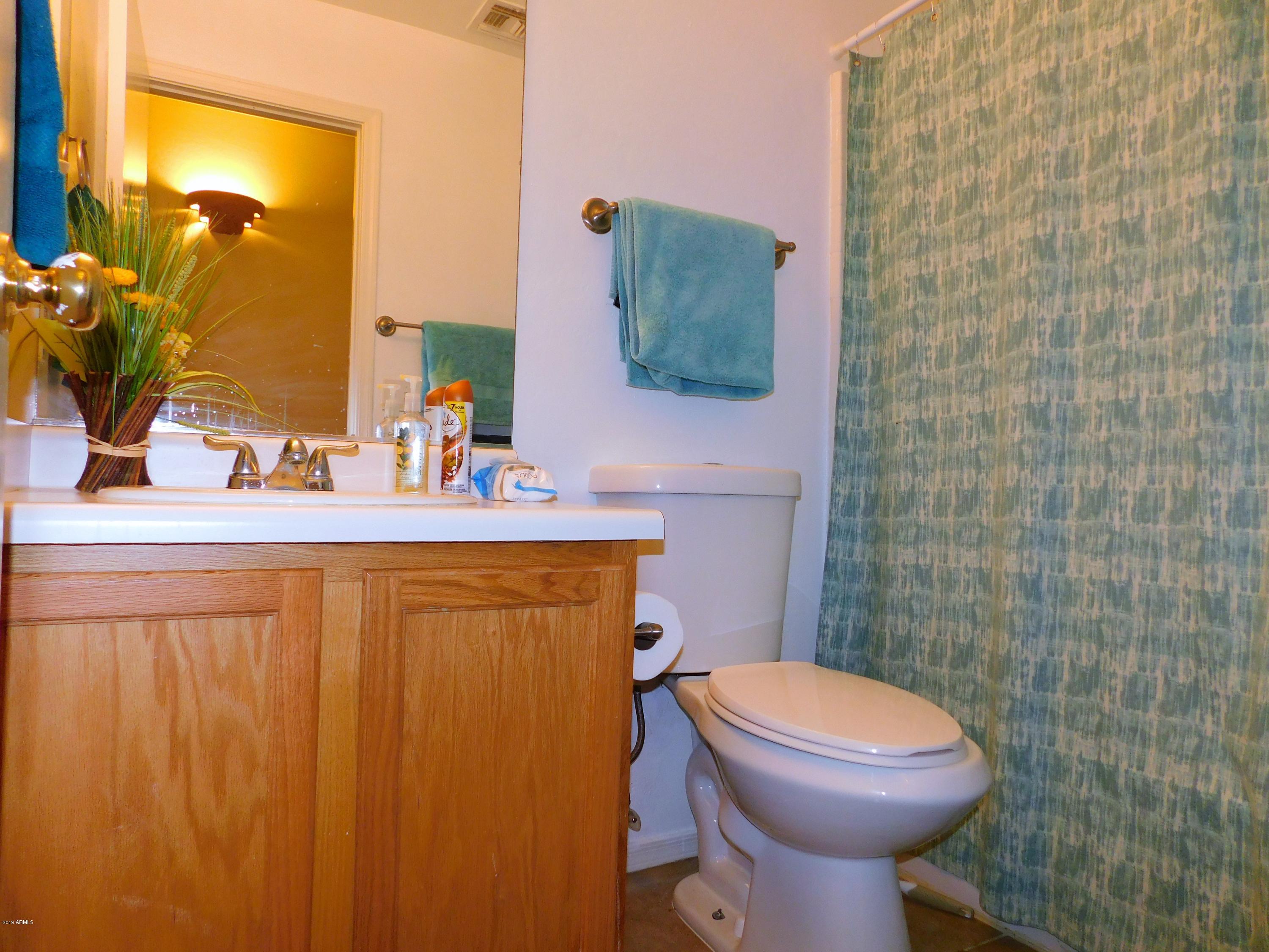 15814 West Jackson Street Goodyear, AZ 85338 - Photo 13 of 18 a bathroom with a sink a toilet and mirror