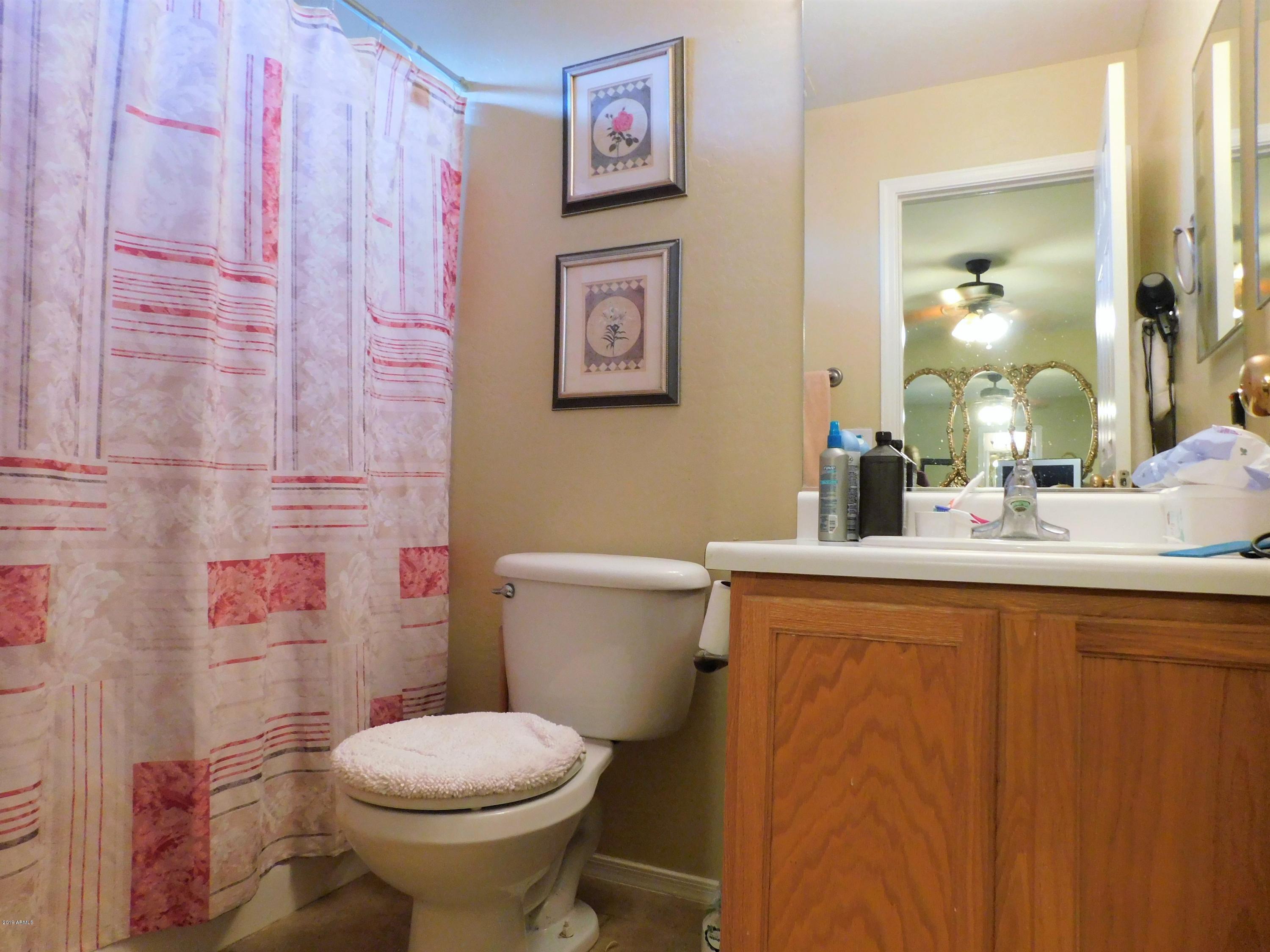 15814 West Jackson Street Goodyear, AZ 85338 - Photo 18 of 18 a bathroom with a toilet sink and mirror