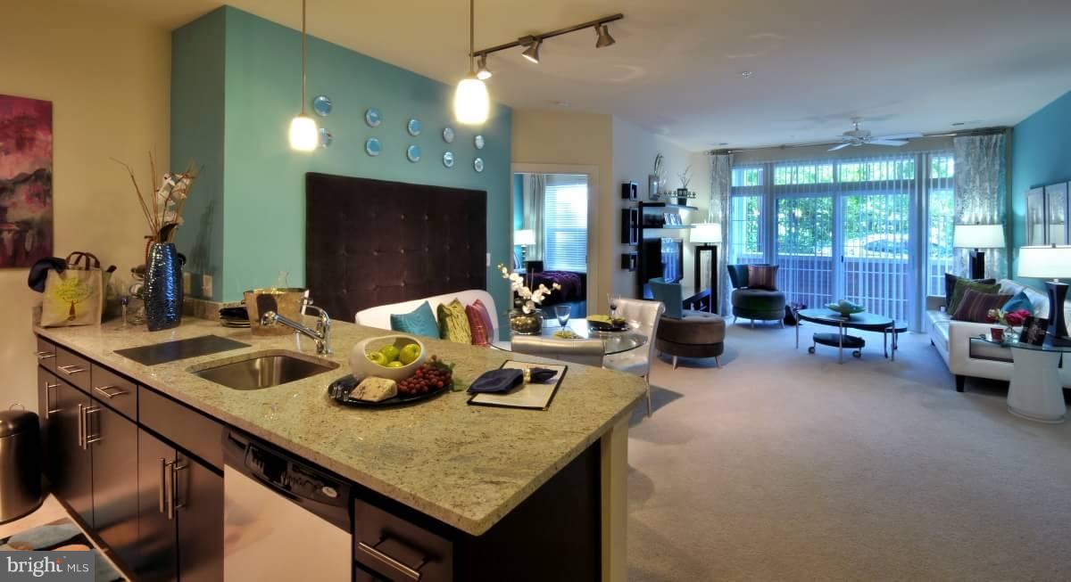2400 24th Road South, Unit 1BR/1BA Arlington, VA 22206 - Photo 5 of 24 Kitchen