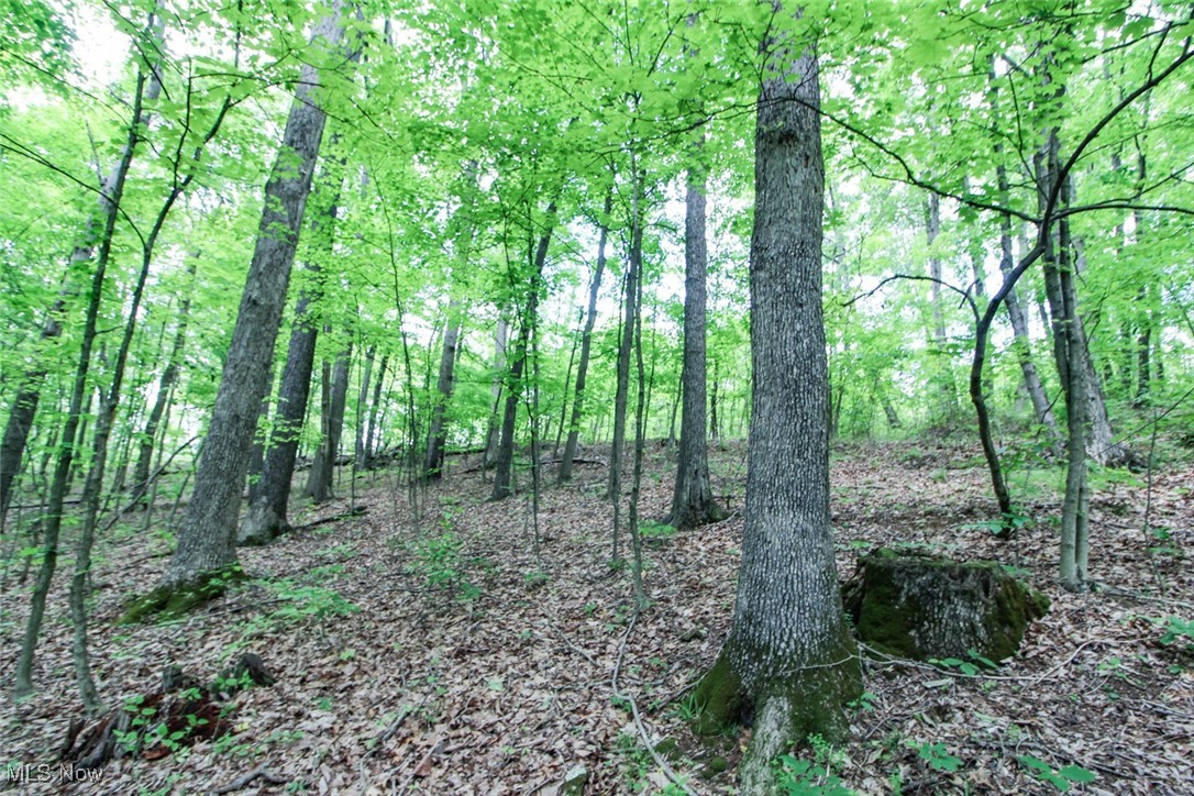 19 Zion Ridge Road Marietta, OH 45750 - Photo 11 of 19 View of local wilderness