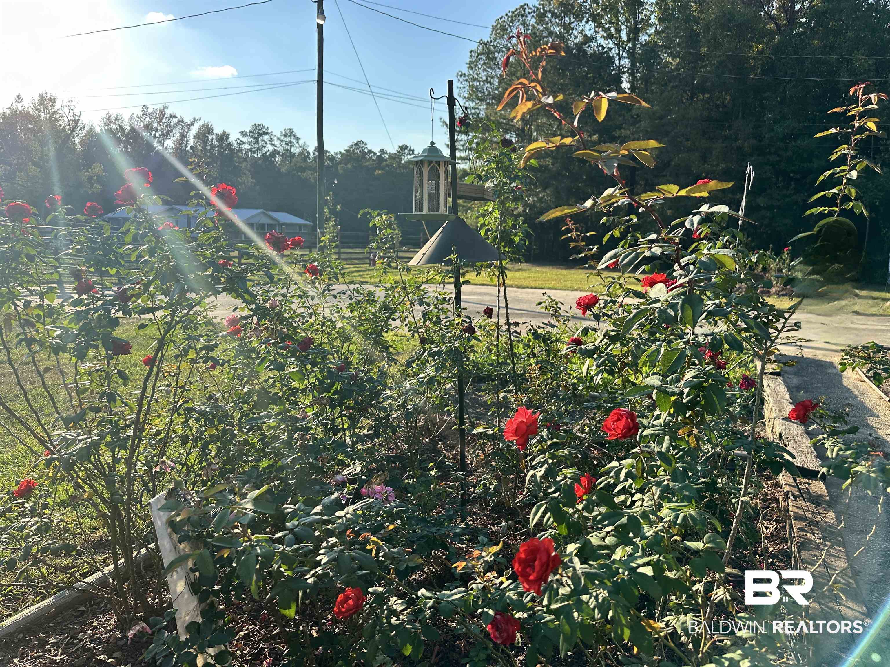 1206 St Nicholas Avenue Brewton, AL 36426 - Photo 15 of 19 View of yard