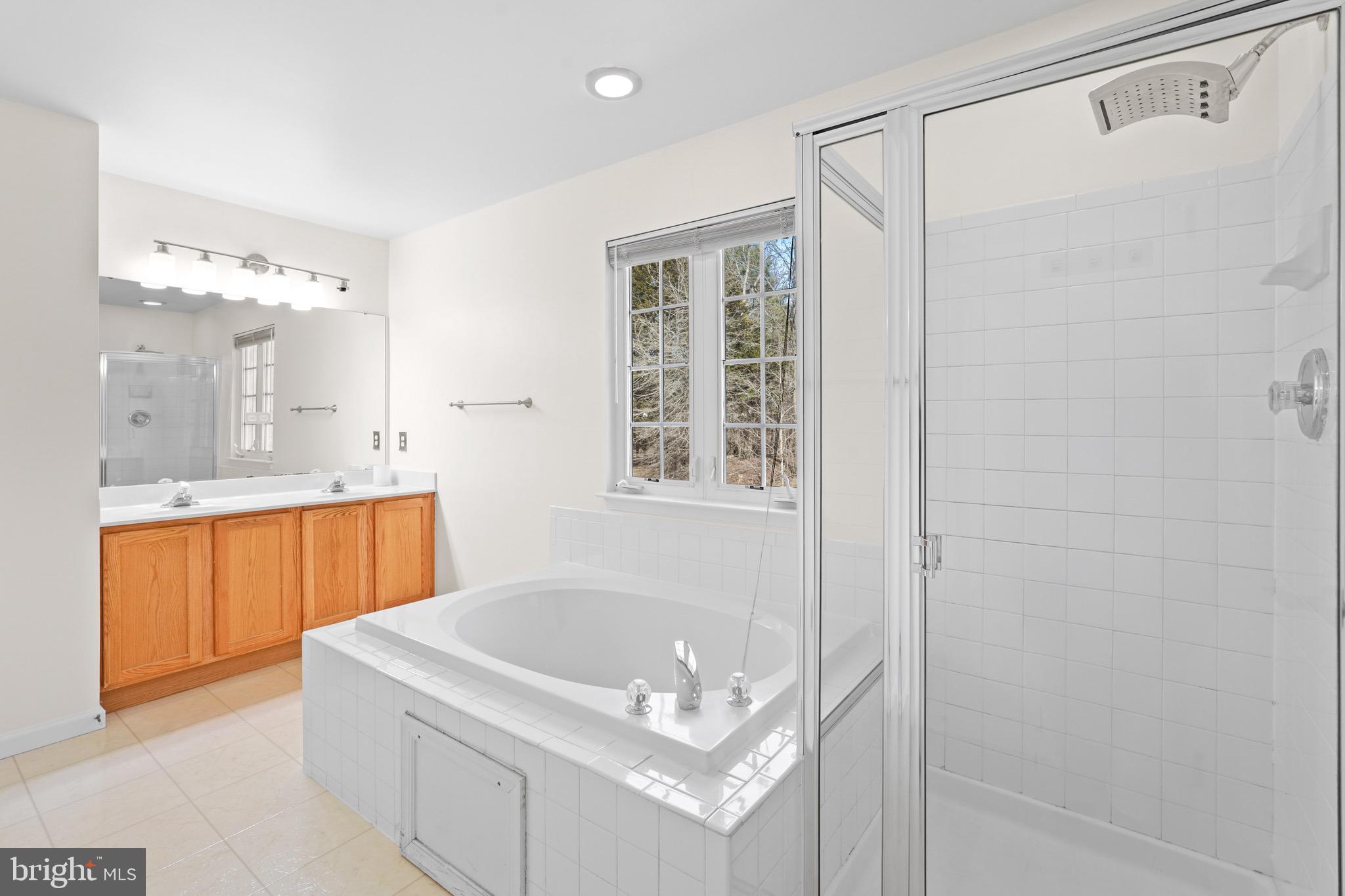 9602 Stuart Lane Clinton, MD 20735 - Photo 29 of 40 a bathroom with a tub sink and mirror