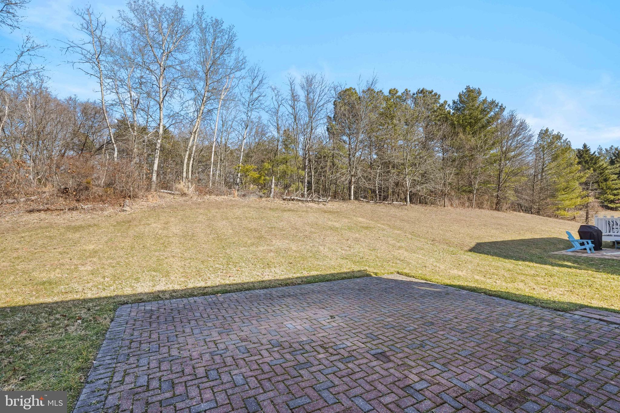 9602 Stuart Lane Clinton, MD 20735 - Photo 36 of 40 a view of yard with trees