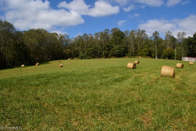 7155 Traphill Road Traphill, NC 28685 - Photo 1 of 7 Main View