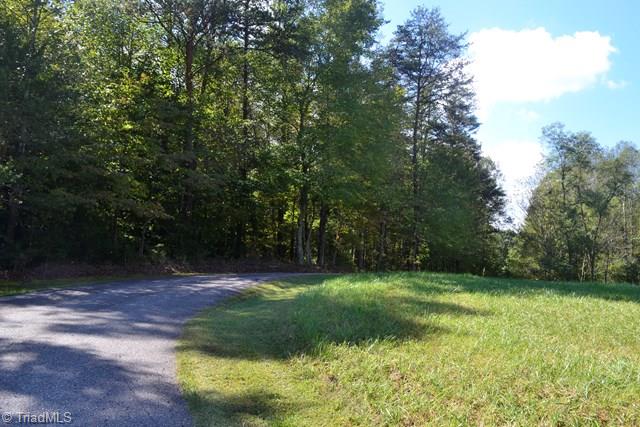7155 Traphill Road Traphill, NC 28685 - Photo 6 of 7 Gallery Image 6