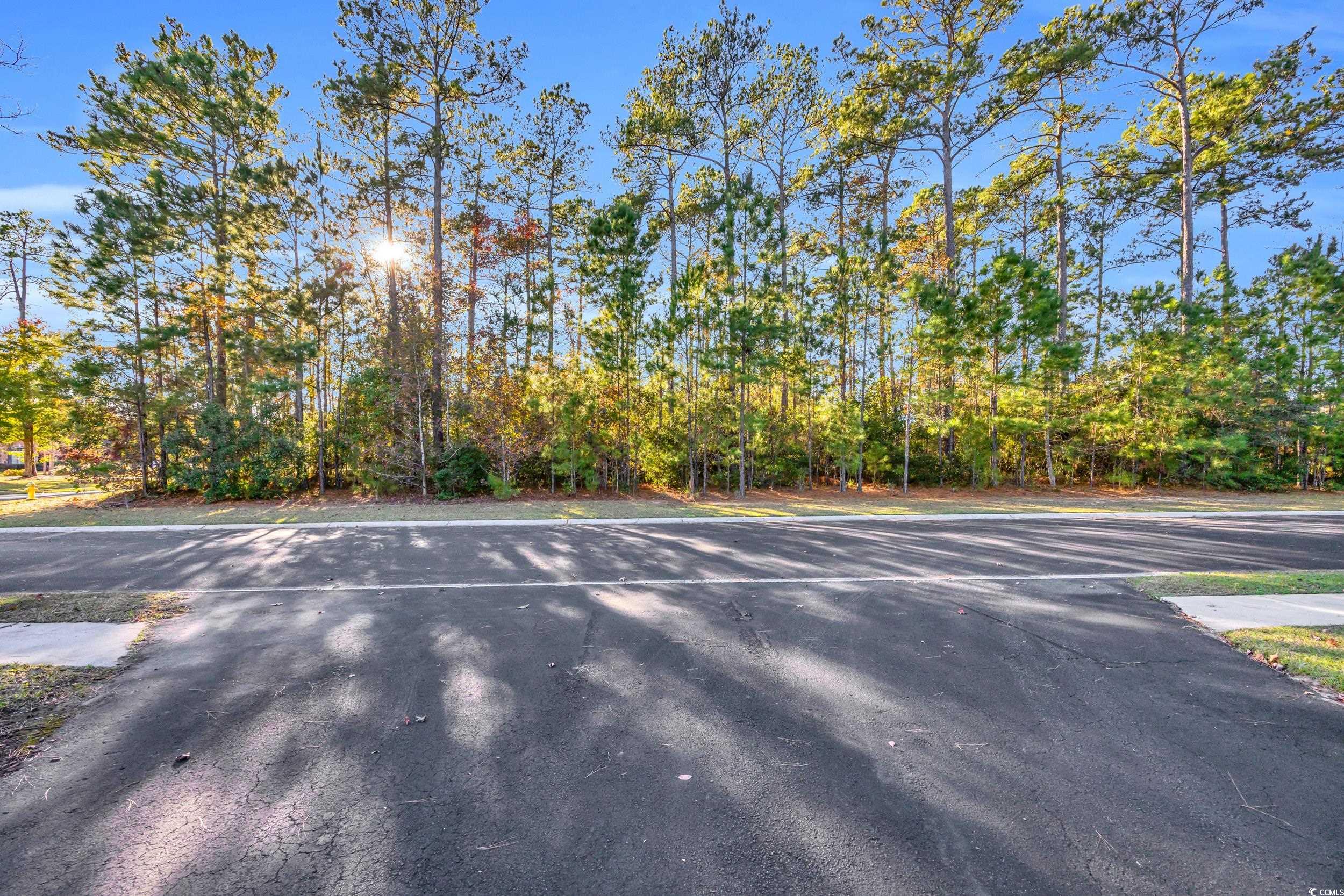 538 Nautilus Drive Murrells Inlet, SC 29576 - Photo 2 of 22 Gallery Image 2