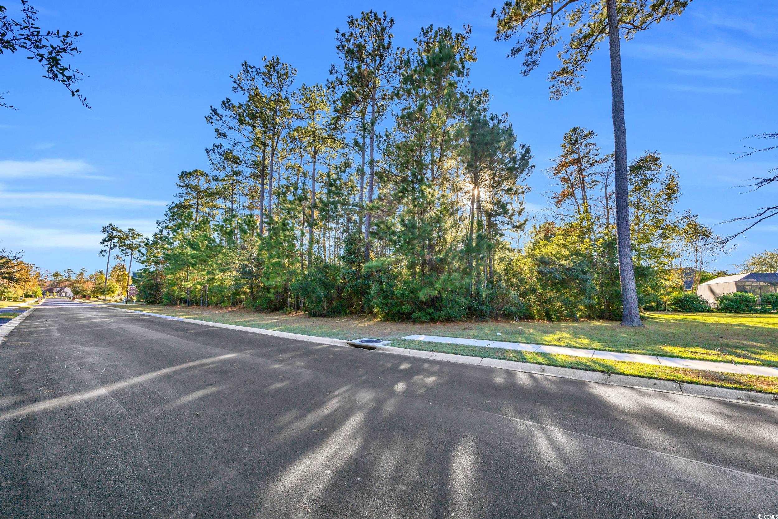 538 Nautilus Drive Murrells Inlet, SC 29576 - Photo 4 of 22 Gallery Image 4