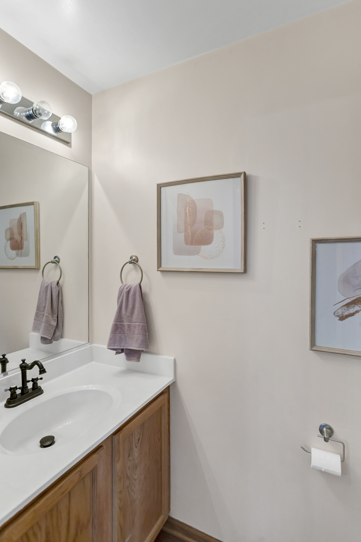 2112 Wicklow Lane Round Lake, IL 60073 - Photo 24 of 34 a bathroom with a sink vanity and a mirror