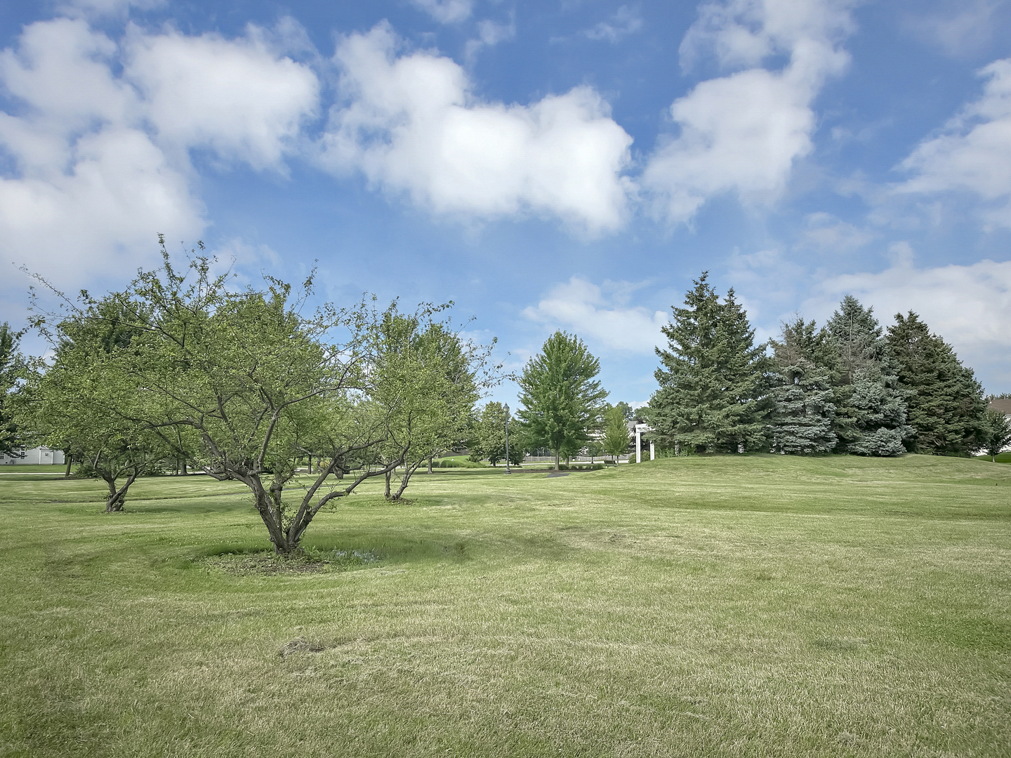 2112 Wicklow Lane Round Lake, IL 60073 - Photo 6 of 34 a view of outdoor space with green field and trees in the background