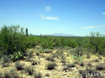 0 East Gasline Road, Unit D2 Marana, AZ 85658 - Photo 2 of 5
