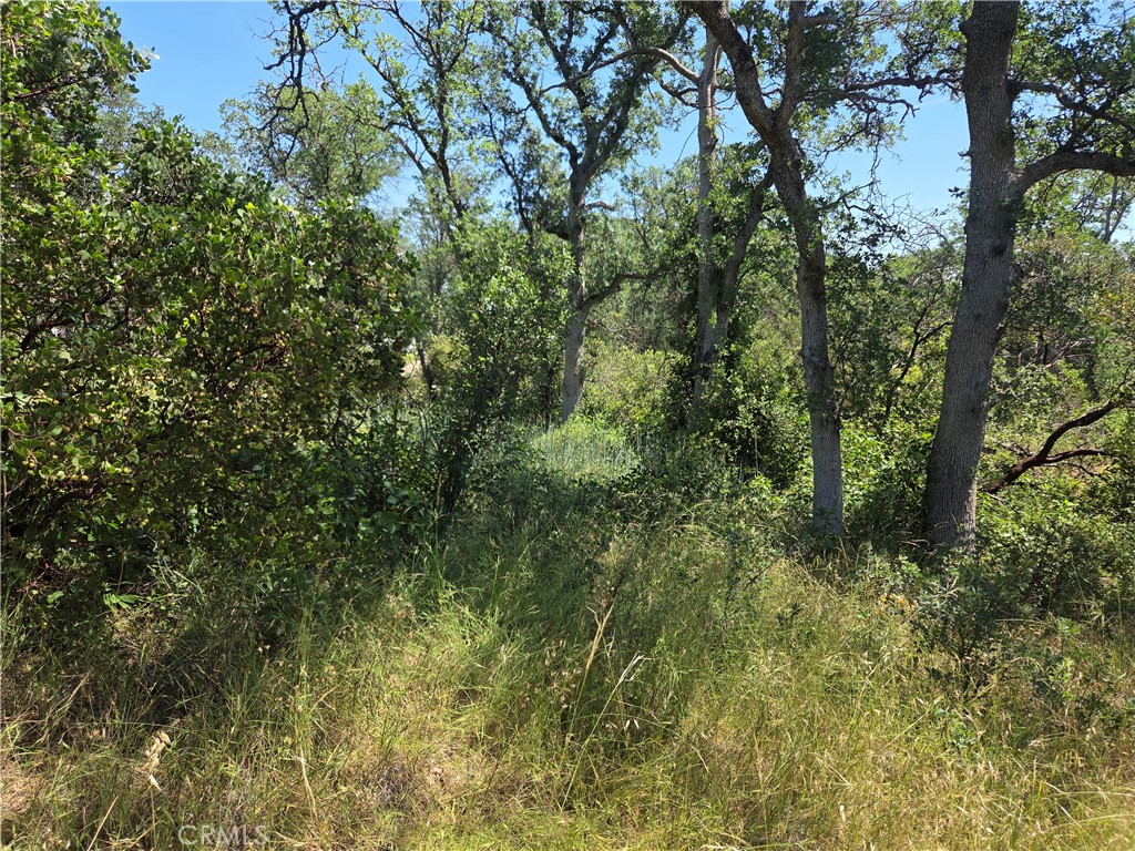 17087 Laramie Point Corning, CA 96021 - Photo 9 of 9