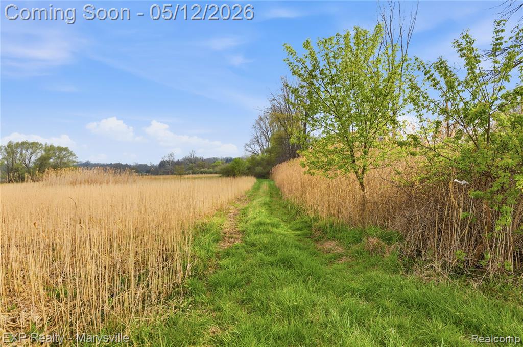 3345 Beach Road Port Huron, MI 48060 - Photo 35 of 89