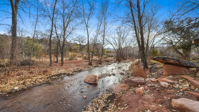 a view of a yard covered in snow