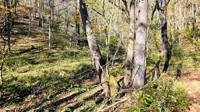 $300,000 | 8273 Highway 56, Vevay, IN 47043