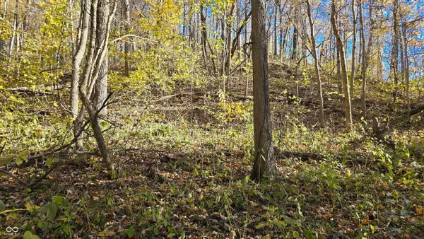 $300,000 | 8273 Highway 56, Vevay, IN 47043