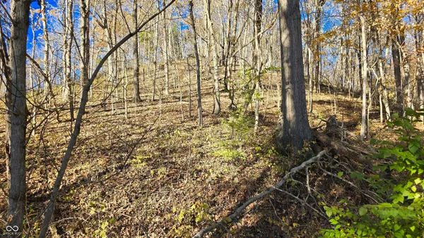 $300,000 | 8273 Highway 56, Vevay, IN 47043