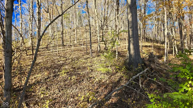 $300,000 | 8273 Highway 56, Vevay, IN 47043