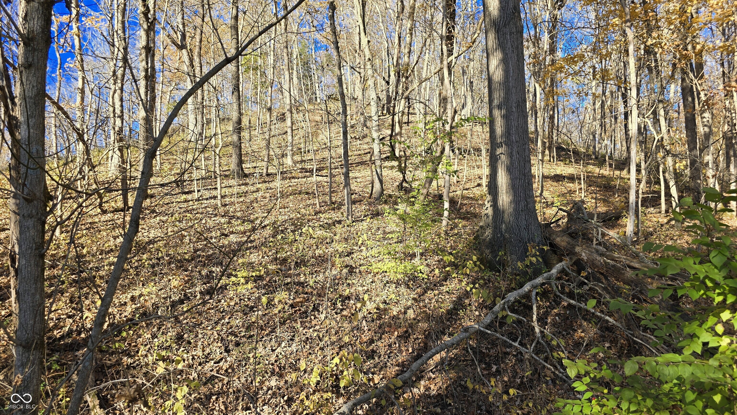 8273 Highway 56 Madison, IN 47250 - Photo 40 of 80