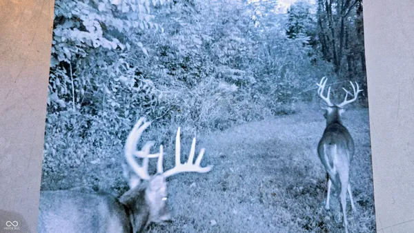 $300,000 | 8273 Highway 56, Vevay, IN 47043