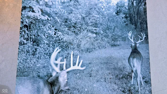 $300,000 | 8273 Highway 56, Vevay, IN 47043