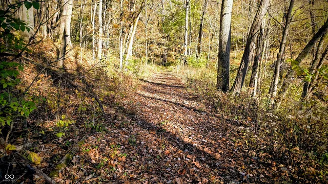 $300,000 | 8273 Highway 56, Vevay, IN 47043