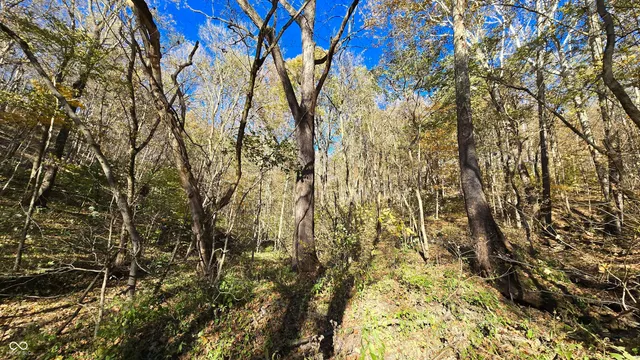 $300,000 | 8273 Highway 56, Vevay, IN 47043