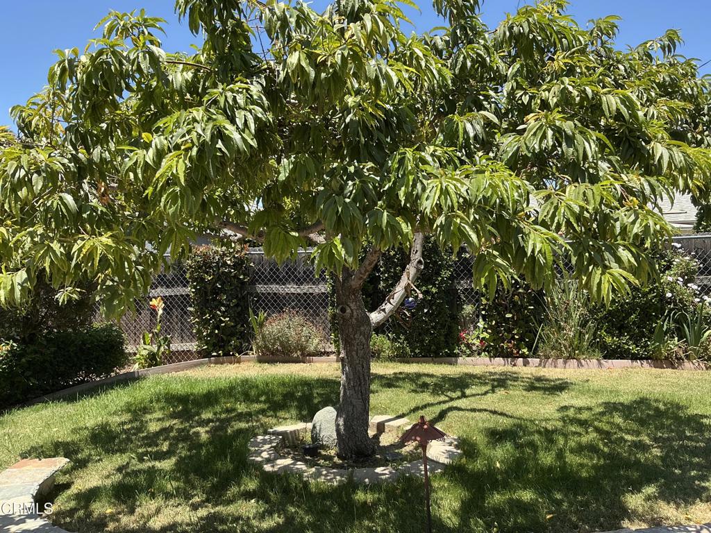 285 2nd Street Moorpark, CA 93021 - Photo 26 of 35 a view of swimming pool with a tree