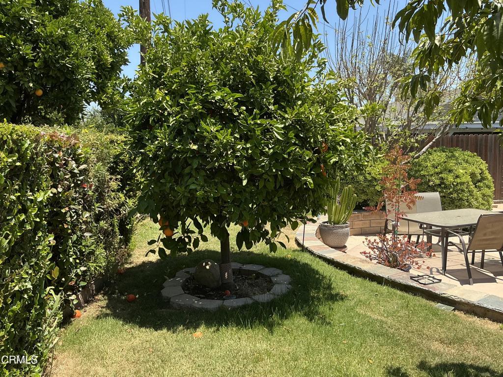 285 2nd Street Moorpark, CA 93021 - Photo 27 of 35 a view of a backyard with sitting area
