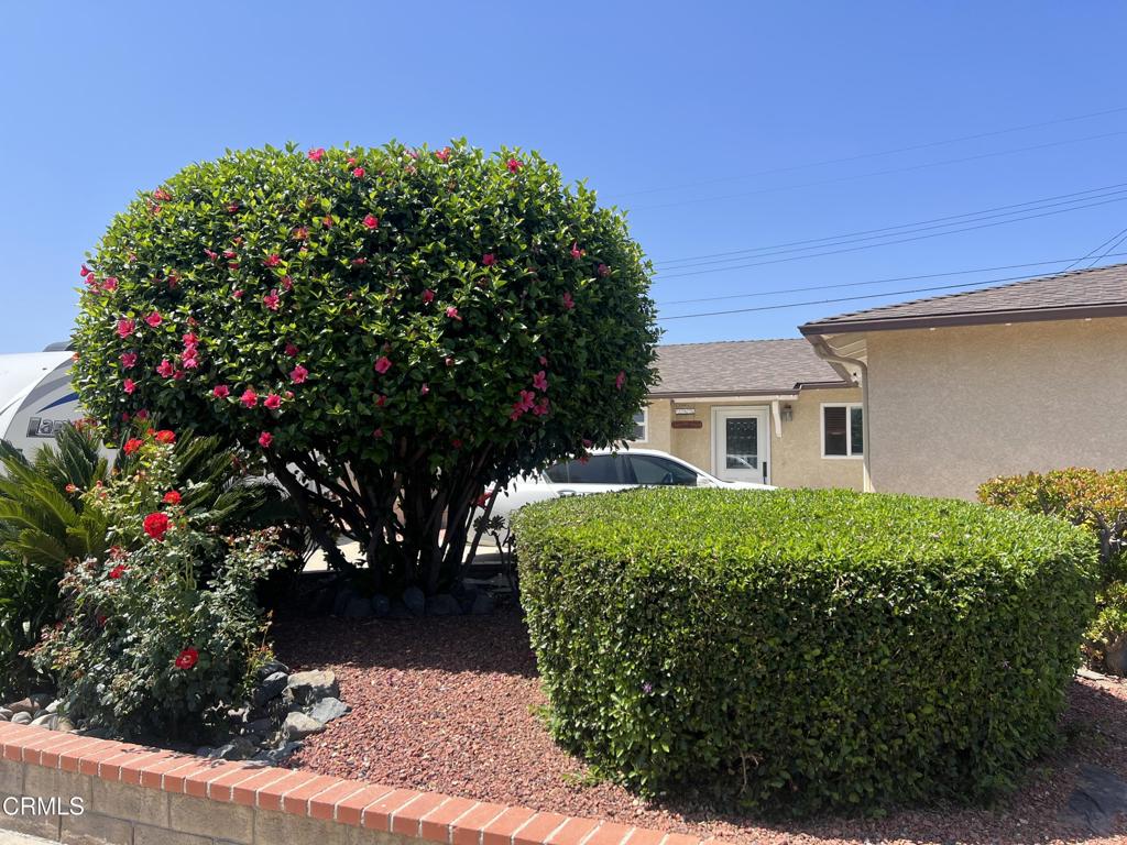 285 2nd Street Moorpark, CA 93021 - Photo 28 of 35 a view of a house with a flower garden