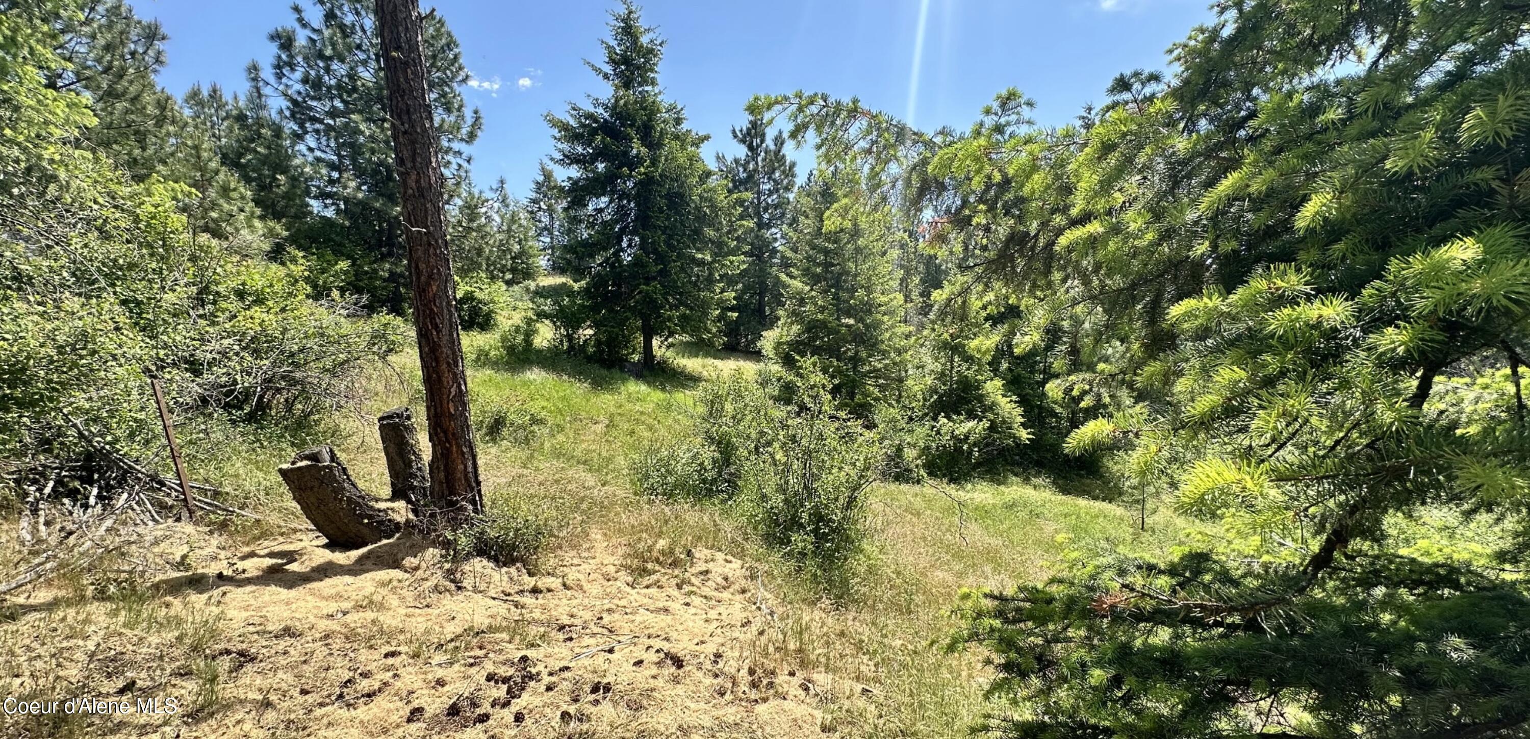 Mullan Trail Road Coeur D'Alene, ID 83814 - Photo 2 of 4 ..