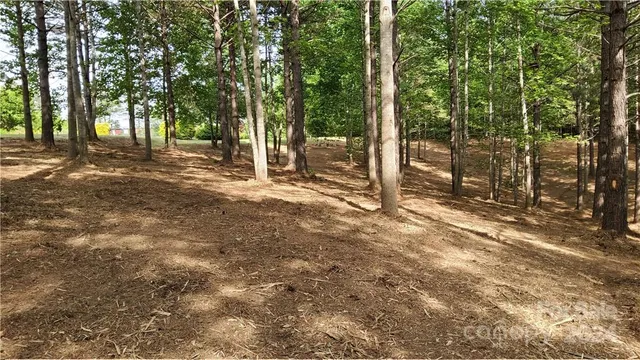 a view of outdoor space with trees