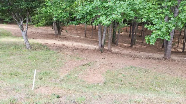 a view of a yard with trees