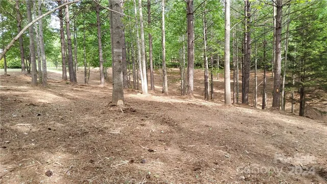 a view of outdoor space with deck and trees