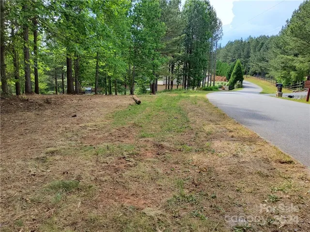 a view of a tree in a yard