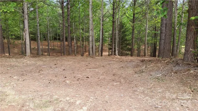 a view of outdoor space with deck and trees