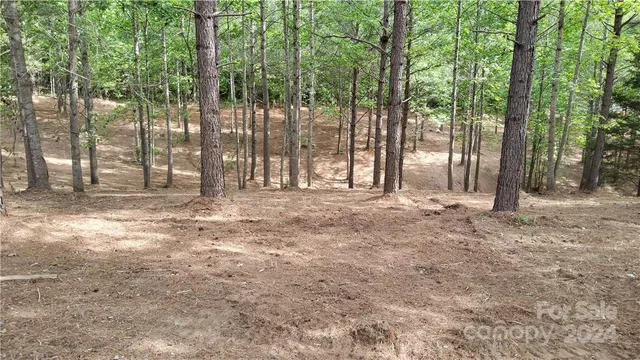 a view of backyard with green space and wooden fence