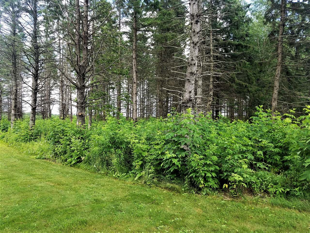 W7006 Chada Road Fifield, WI 54524 - Photo 24 of 25 Gallery Image 24