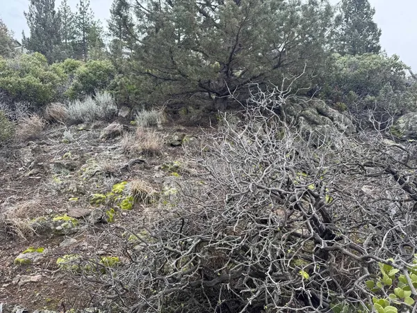 $3,131 | 405 Condor, Weed, CA 96094