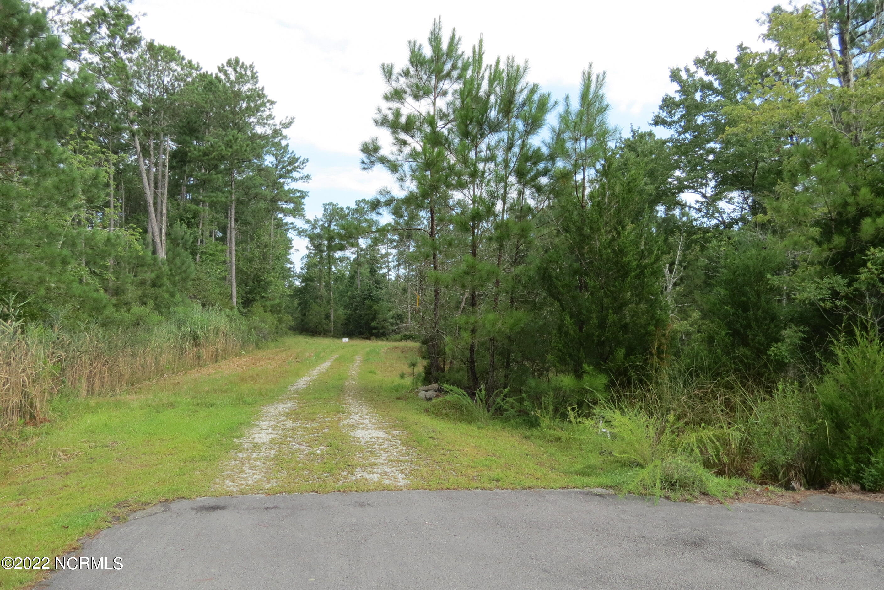110 Pier Point Road North Oriental, NC 28571 - Photo 3 of 14 IMG_6601