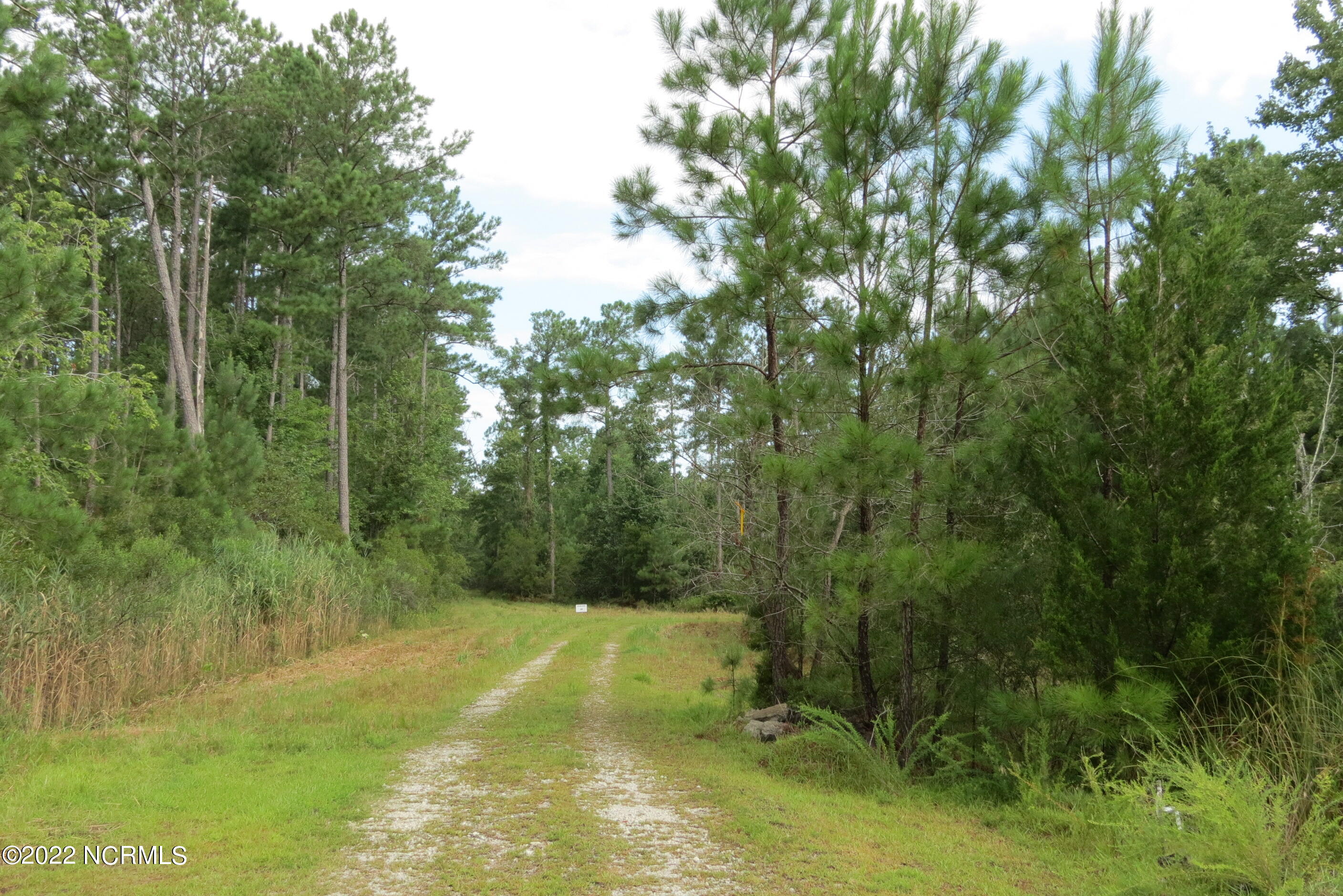 110 Pier Point Road North Oriental, NC 28571 - Photo 4 of 14 IMG_6602