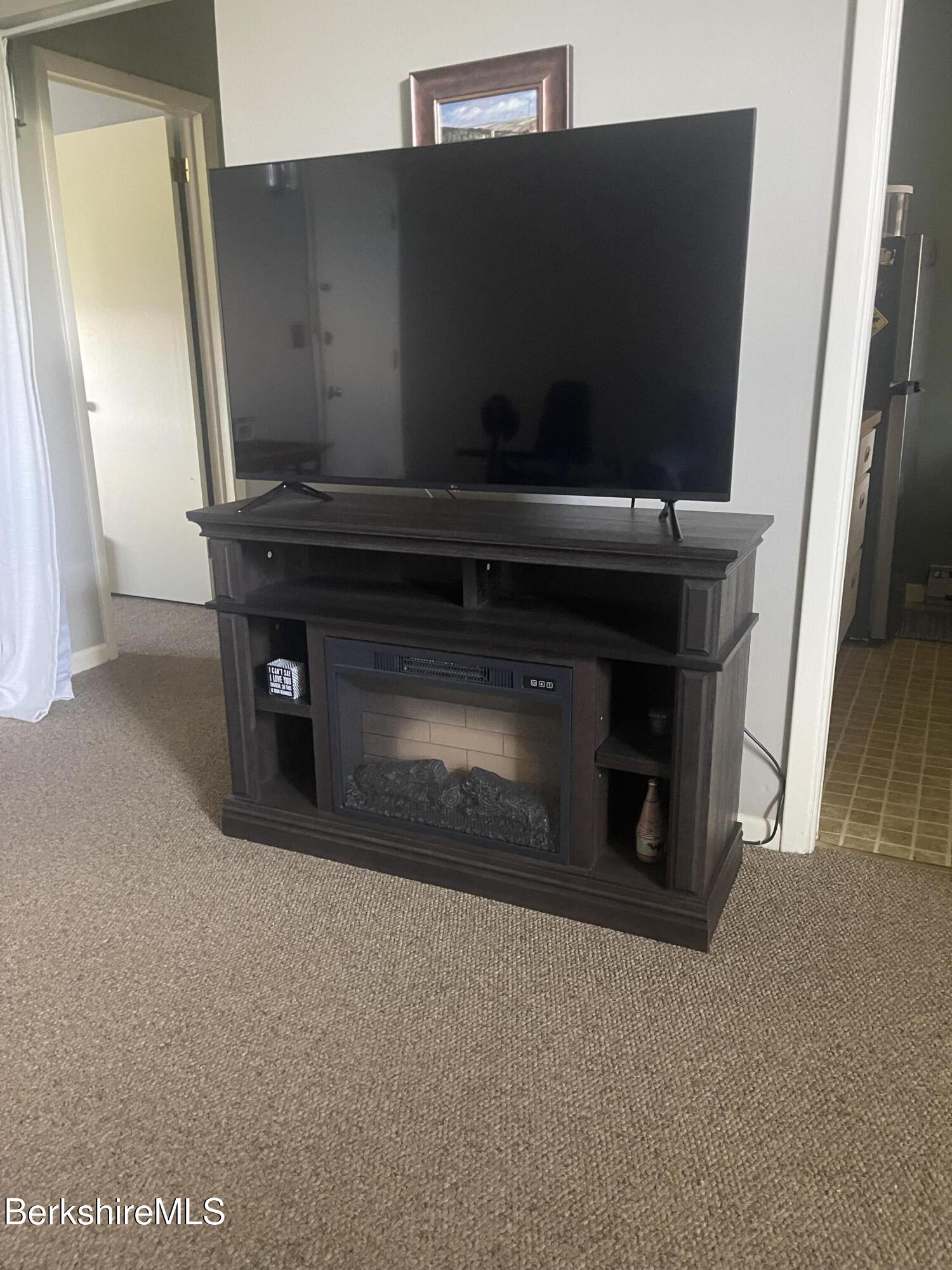 189 Stratton Road, Unit E3 Williamstown, MA 01267 - Photo 3 of 14 Elec Fireplace