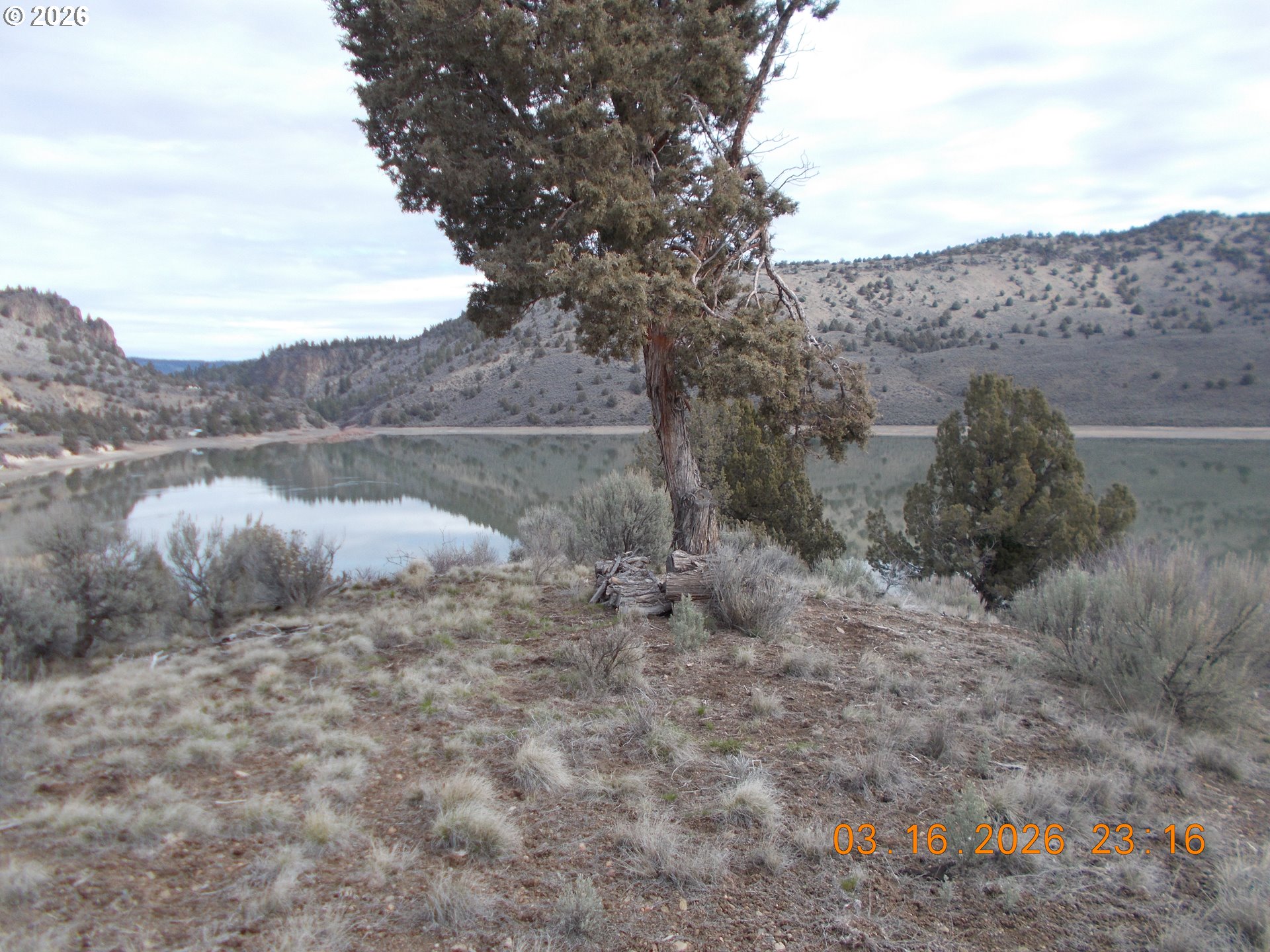 31841 Rice Road Unity, OR 97884 - Photo 10 of 26 a view of a dry yard with mountains in the background