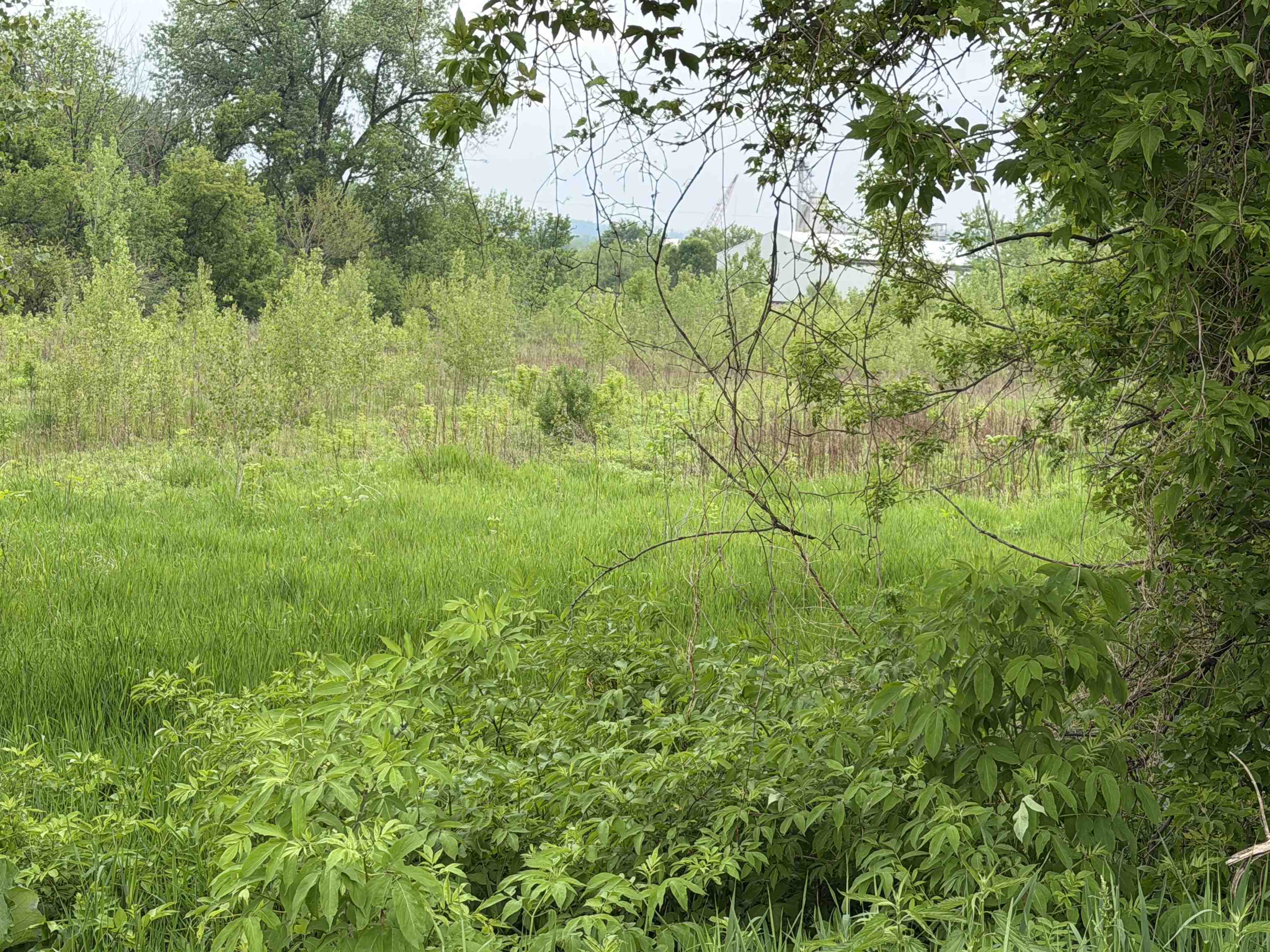 0 West Us 20 Route East Dubuque, IL 61025 - Photo 12 of 15