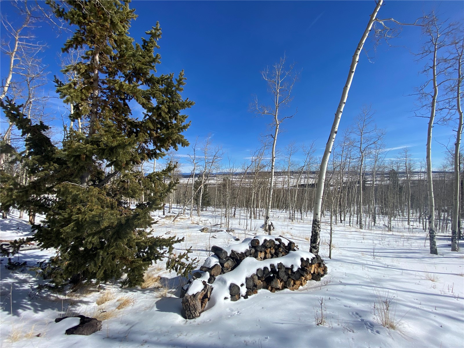 893 Lumberjack Road Fairplay, CO 80440 - Photo 9 of 34 Gallery Image 9